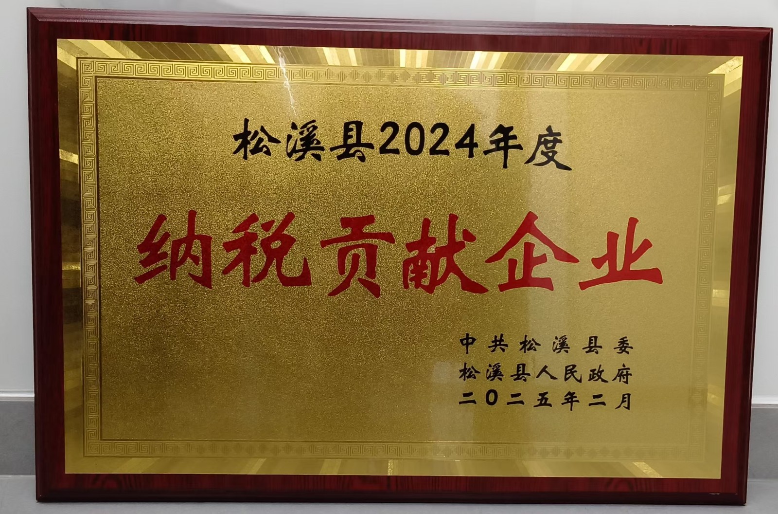喜報！易順建工集團(tuán)榮獲“松溪縣2024年度納稅貢獻(xiàn)企業(yè)”稱號